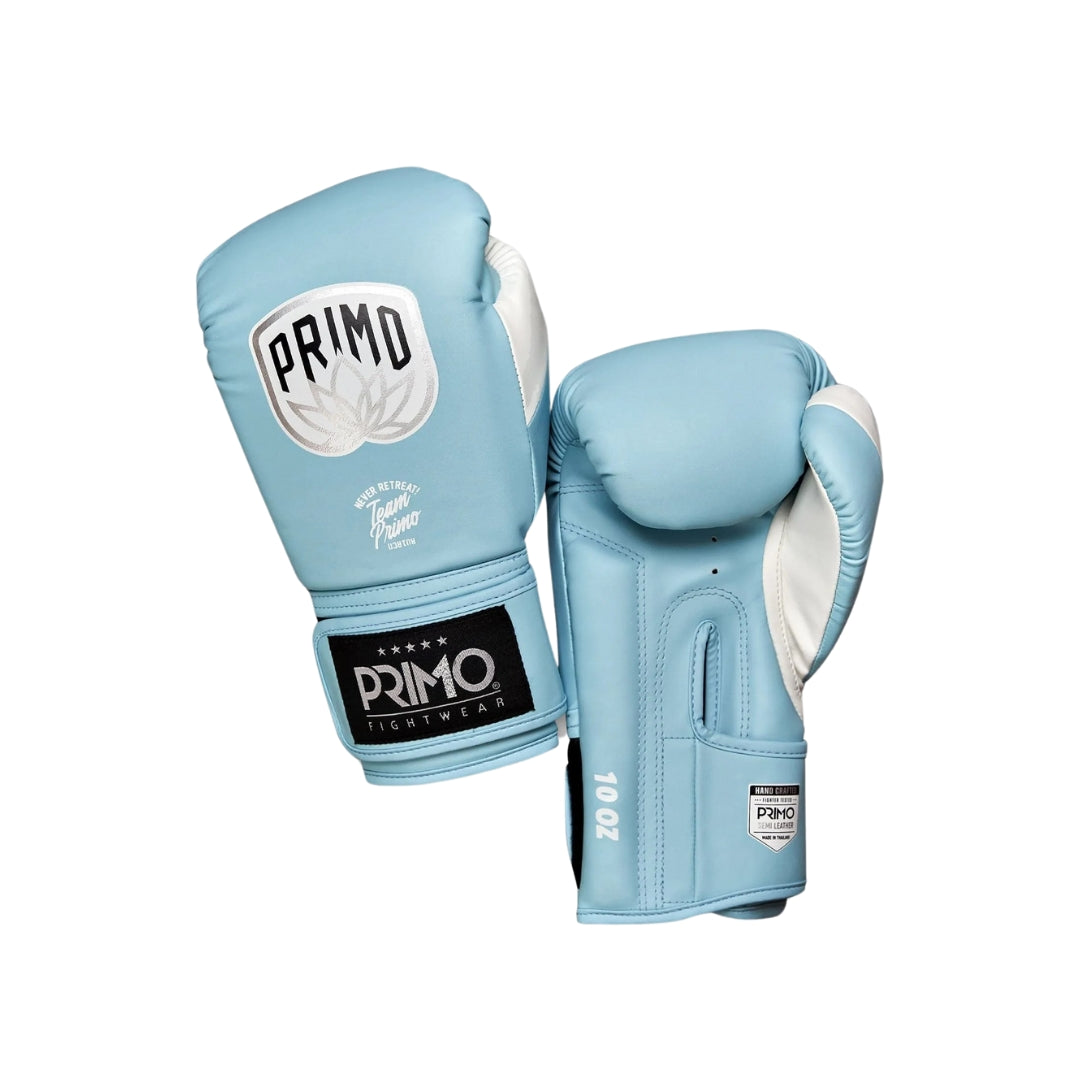 Boxing Gloves – Nak Muay Supply